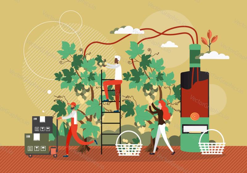 Wine production process concept vector illustration. Winery factory, people harvest grape and make wine. Winemaking technology.