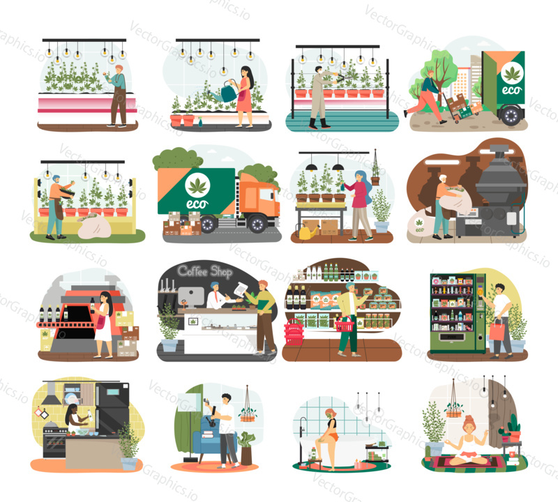 Cannabis farm and production line. People using hemp products at home concept vector illustration. Woman smoke weed joint. Man visits CBD store and buys marijuana product. Growing weed legal business.