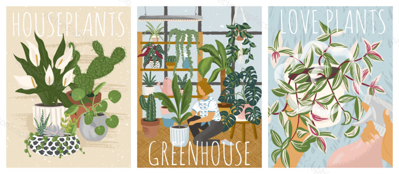 House plants vector illustration. Home with flowers and plant interior decoration. Woman gardening and grow houseplants at home.