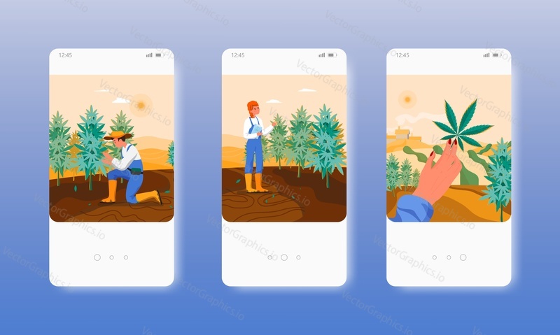 Hemp farm. Farmers growing cannabis sativa plants. Marijuana production. Mobile app screens. Vector banner template for website and mobile development. Web site and UI design illustration.