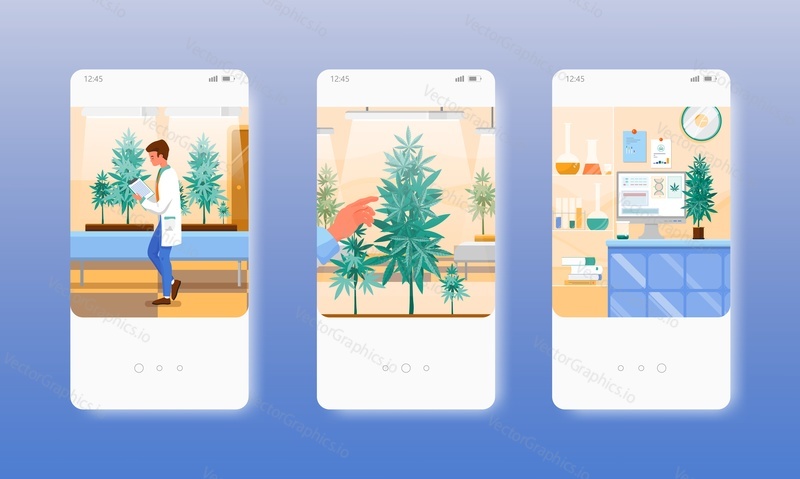 Hemp cultivation. Growing marijuana indoors under artificial light. Mobile app screens. Vector banner template for website and mobile development. Web site and UI design illustration.