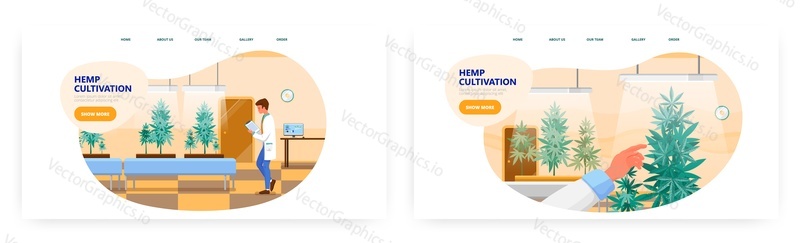 Hemp cultivation landing page design, website banner template set, flat vector illustration. Growing marijuana indoors under artificial light. Male character cultivator controlling growing environment