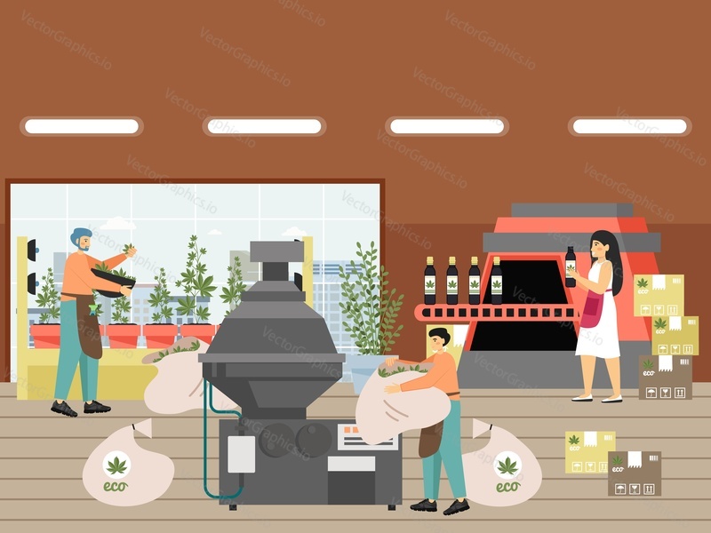 Hemp farm. Male, female characters workers, farmers harvesting marijuana plants for legal sale, CBD processing, flat vector illustration. Weed cultivation. Hemp crop. Cannabis farming industry.
