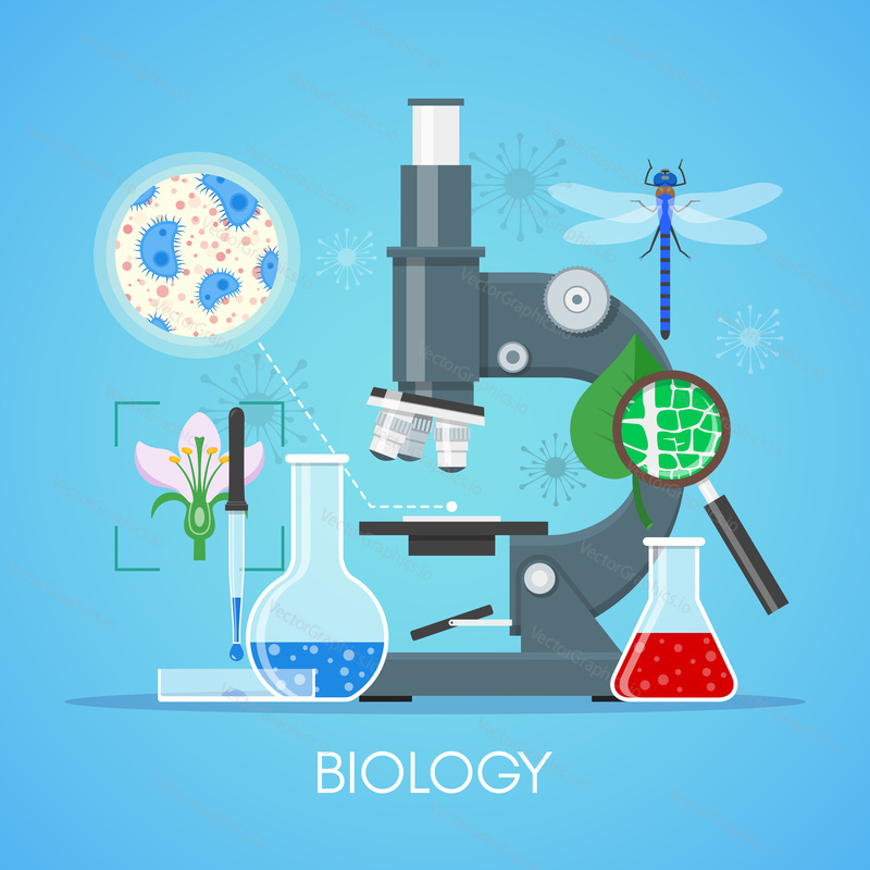 Biology science education concept vector poster in flat style design. Biology school laboratory equipment.