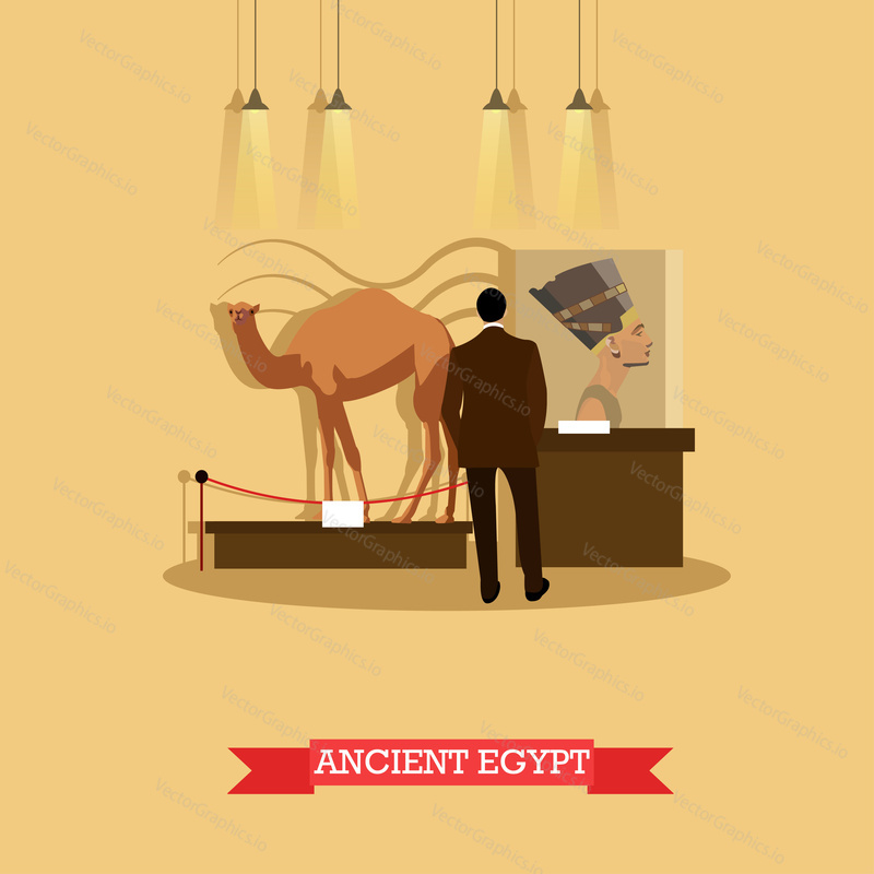 Vektorová ilustrace expozice archeologického muzea v plochém stylu. Návštěvník sleduje výstavu staroegyptských uměleckých děl Nefertiti poprsí a vycpaného velblouda.