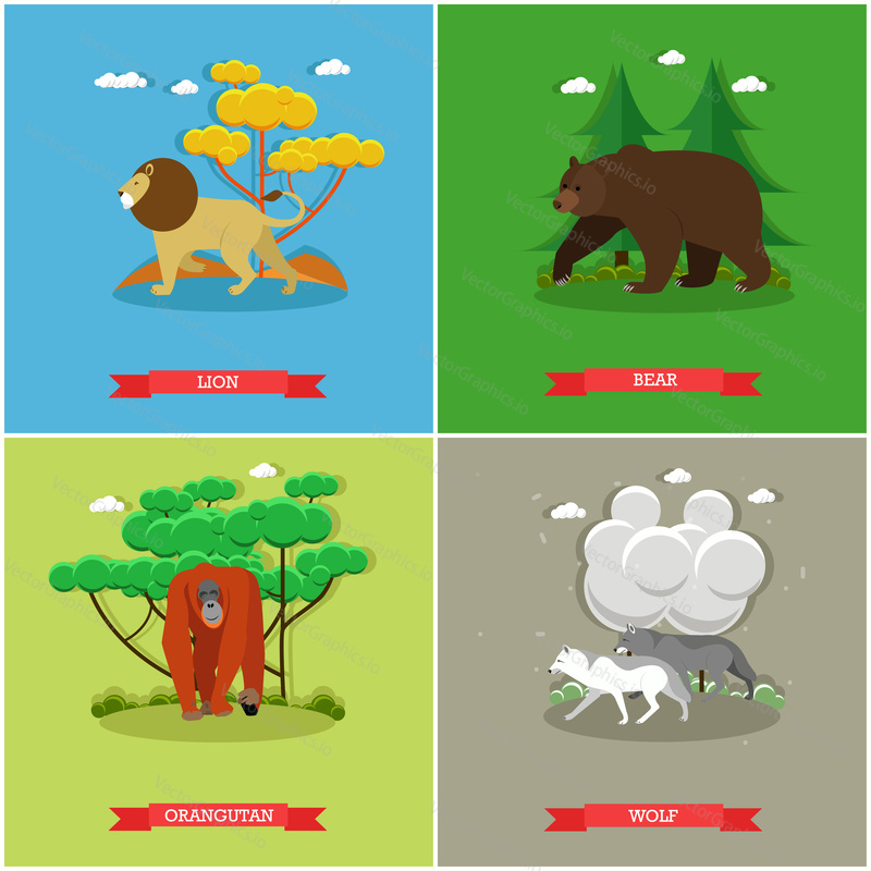 Vector set of animals posters. Lion, bear and orangutan