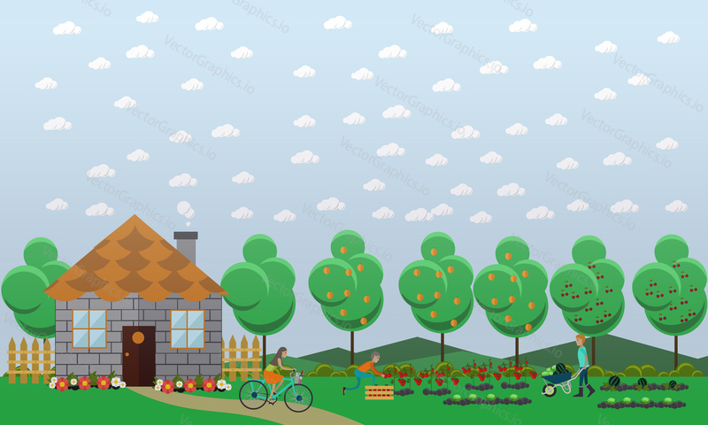 Zahradnictví, sklizeň koncept vektorové ilustrace v plochém stylu. Zahradníci sbírají rajčata, meloun a zelí.
