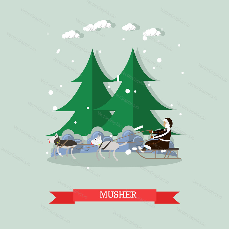 Vector illustration of north landscape and musher riding dog sled. Dog sledding flat style design element.