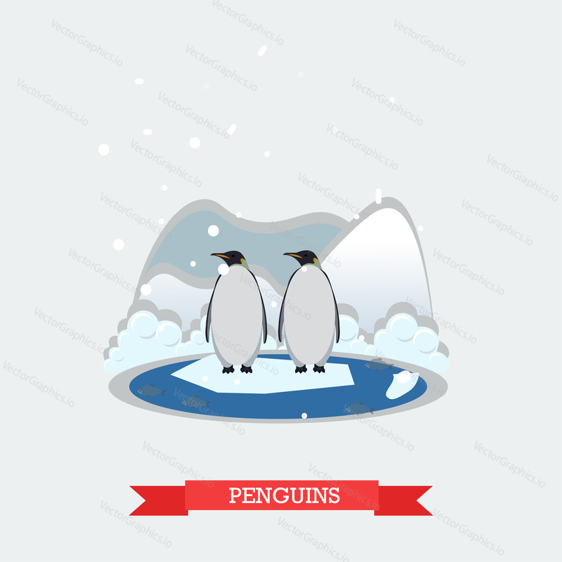 Vector illustration of funny penguins standing on arctic glacier. Wild north landscape and arctic aquatic flightless birds design element in flat style.