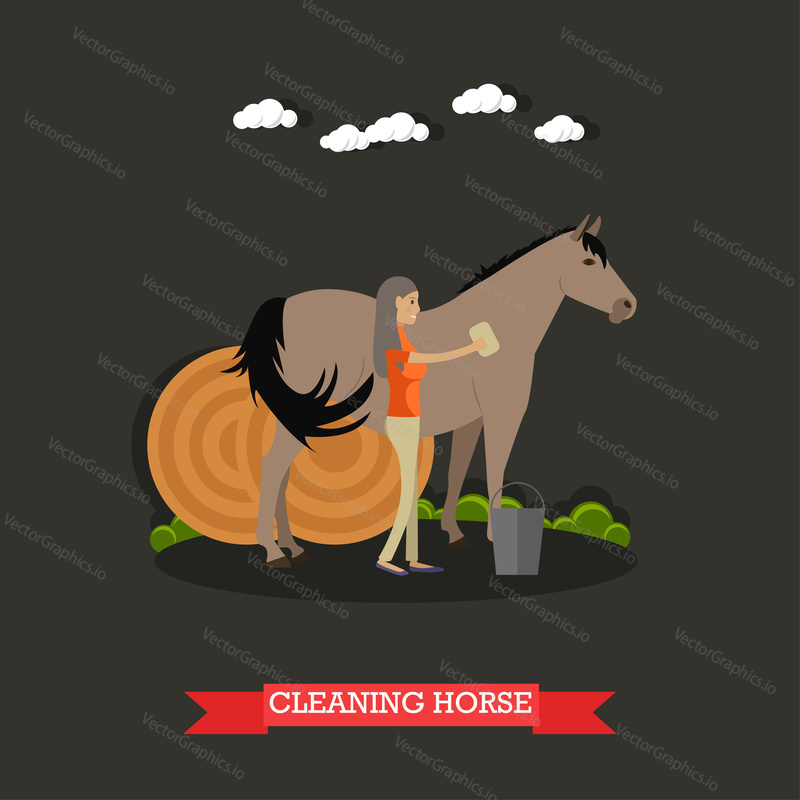 Vektorová ilustrace chovatelky koní žena čištění koně a kulaté balíky sena za nimi. Grooming koně plochý styl designový prvek.