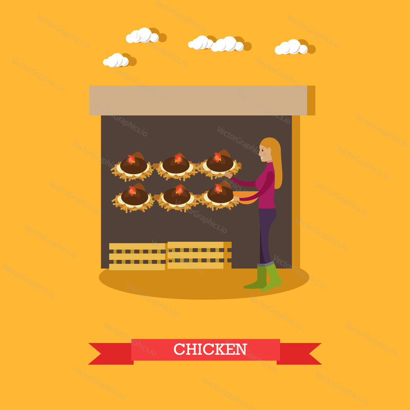 Chicken farm concept vector illustration. Poultry farm, chicken lay eggs flat style design.