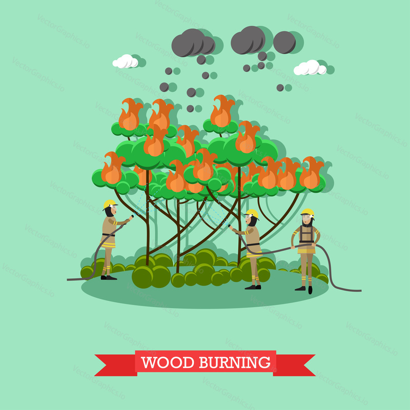 Vector illustration of firefighters in protective clothing and helmets extinguishing blaze with water hose. Wood burning design element in flat style.