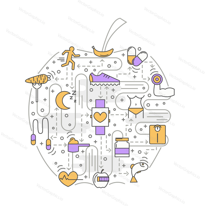 Sport food apple shaped vector illustration. Modern thin line flat design element with dieting, healthy eating, sport symbols, icons for presentation, printed materials.