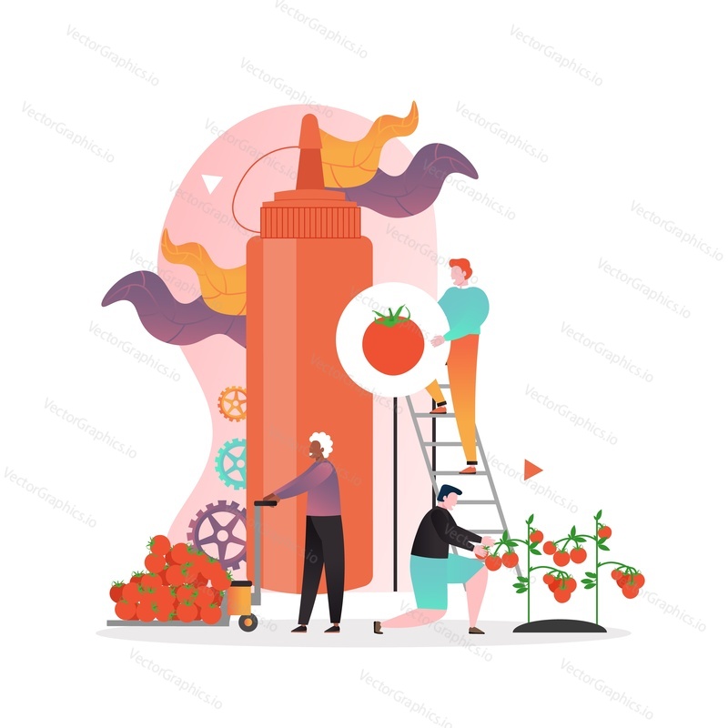Ketchup manufacturing process with characters, vector illustration. Tomato sauce and ketchup production concept for web banner, website page etc.