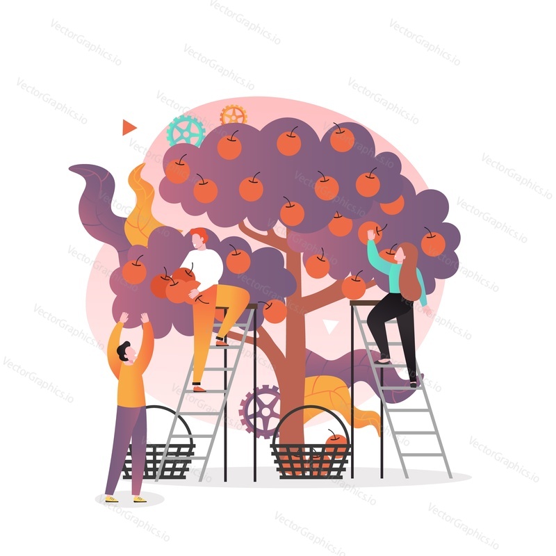 Zemědělci nebo zahrádkáři muž a žena sbírání jablek z jabloně stojící na žebřících, vektorové ilustrace. Koncept sezóny sklizně Apple pro webový banner, webovou stránku atd.