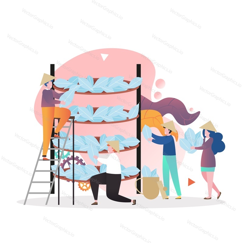 Asian farmers spreading tea leaves on racks to dry, vector illustration. Drying, tea manufacturing process composition for web banner, website page etc.