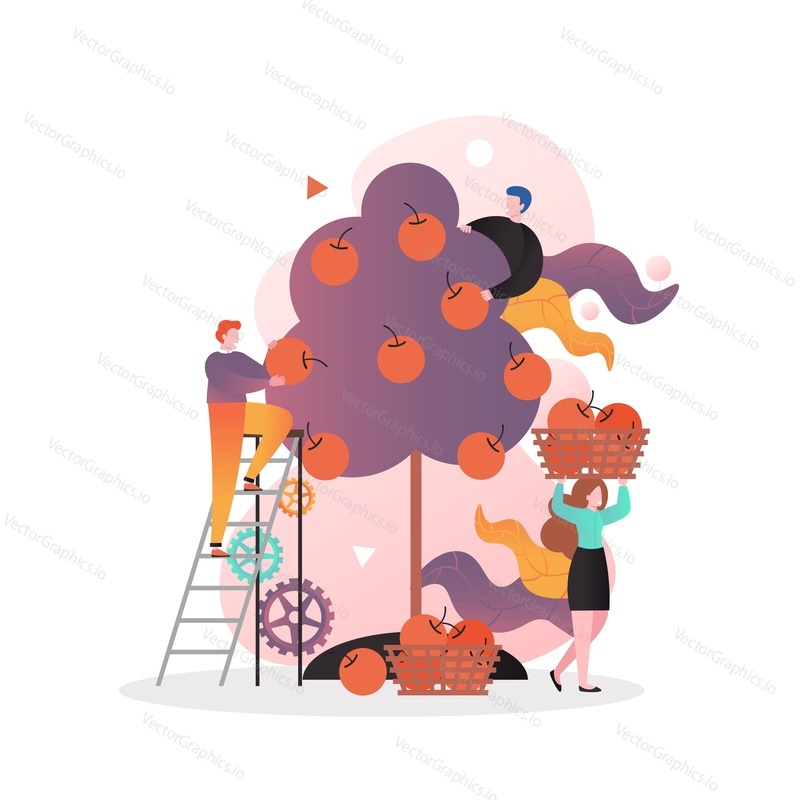 Male and female characters gardeners picking apples from apple tree, vector illustration. Gardening, harvesting concept for web banner, website page etc.