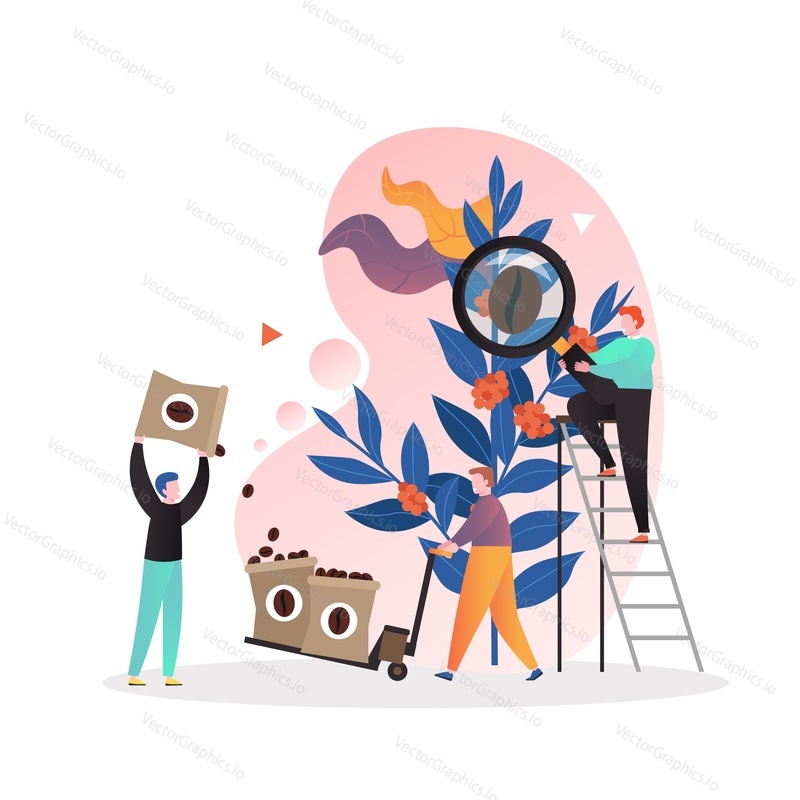 Farmers male characters processing coffee cherries and packaging beans, vector illustration. Coffee industry production composition for web banner, website page etc.
