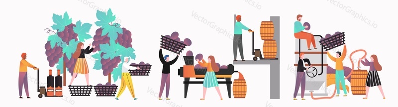 Lidé zapojeni do procesu výroby vína, vektorové ilustrace izolované na bílém pozadí. Sklizeň, drcení, lisování, fermentační fáze výroby vína.