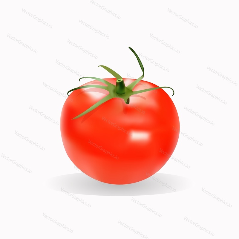 Čerstvé červené rajče, vektorové ilustrace izolované na bílém pozadí. Realistické zralé rajče, zdravé a biopotraviny pro plakát, banner, štítek atd.