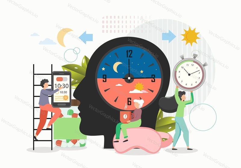Human biorhythms. Day and night activity, flat vector illustration. Biorhythms theory, rhythmic biological cycles. Lark, pigeon, owl human chronotypes.