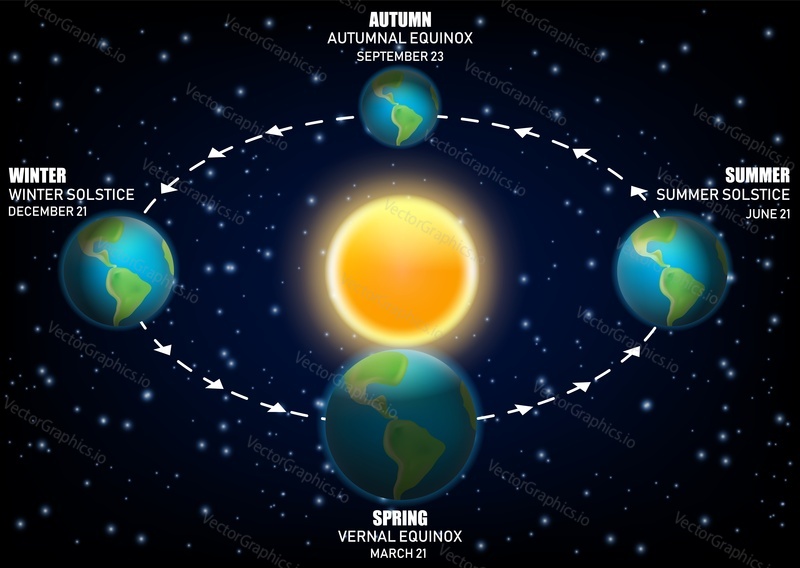 Earth seasons. Vector realistic illustration of planet earth and basic sun weather year seasons. The whole cycle from new Summer to full Winter concept.