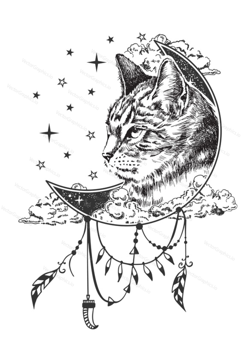 Vektorové Boho cat tetování nebo tričko tisk design. Kočičí hlava na půlměsíci v kombinaci s přírodou a boho prvky.