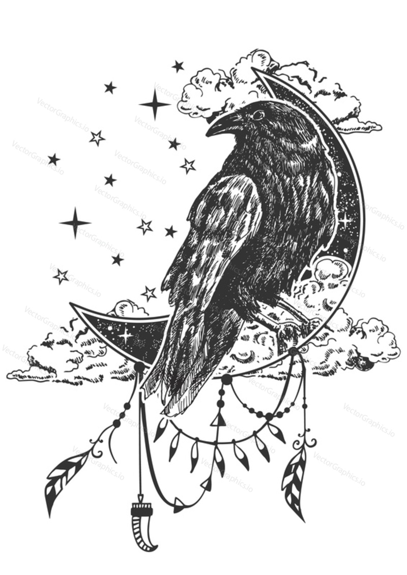Vektorové Boho raven bird tetování nebo tričko tisk design. Černý havran na půlměsíci v kombinaci s přírodou a boho prvky.
