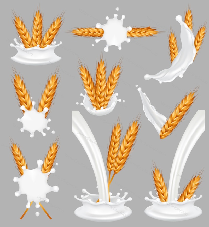 Rice milk splash set. Vector realistic illustration of rice in vegan plant milk splashing and pouring. Healthy nutrition and diet food.