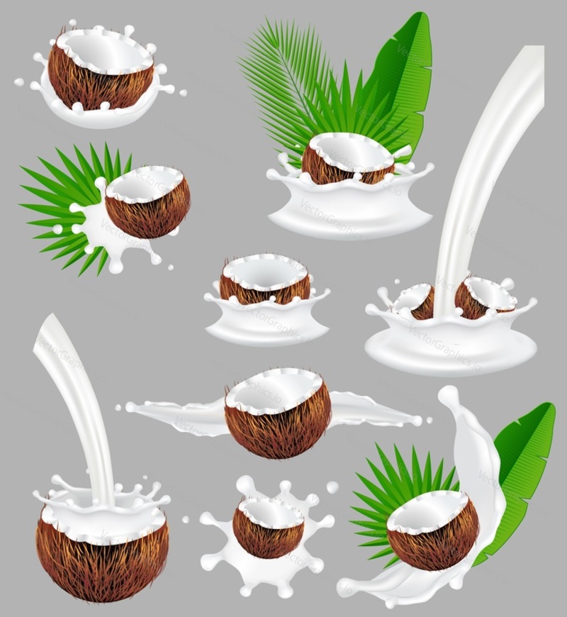 Coconut milk splash set. Vector realistic illustration. Coconut fruit and vegan milk splashing, pouring, palm leaves. Healthy nutrition.