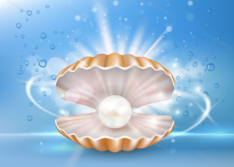 Vektorové realistické perleťové mušle se zářící perlou uvnitř. Krásná mořská Pearl shell box. Reklamní plakát na šperky, šablona návrhu banneru.