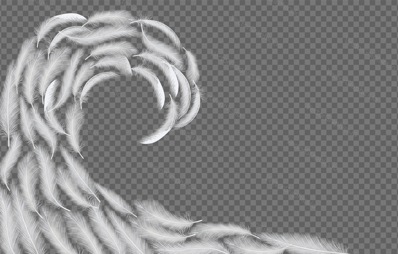 White feathers wave. Vector realistic illustration isolated on transparent background.