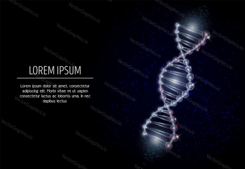 Dna nízké poly drátěné pletivo vyrobené z bodů, čar a tvarů. Vektorové polygonální umění styl designu. Šablona banneru plakátu s kopírovacím prostorem.