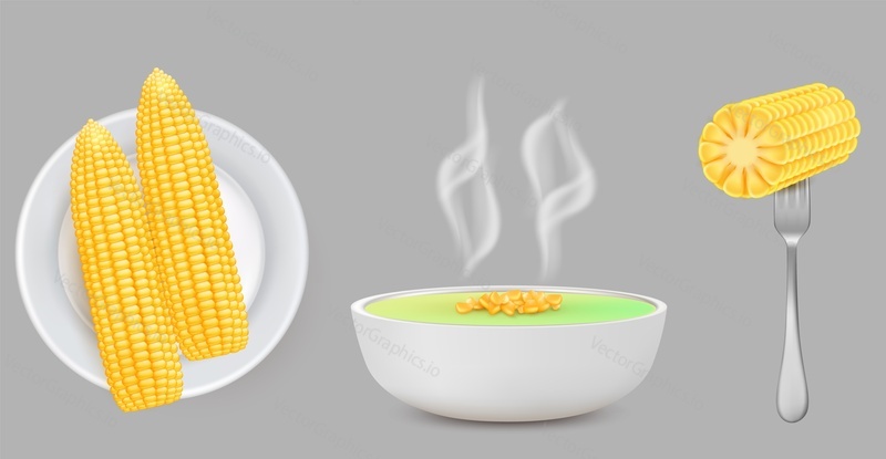 Corn food set, vector isolated illustration. Realistic boiled sweet corn cobs on plate and fork, hot cornmeal porridge in bowl.