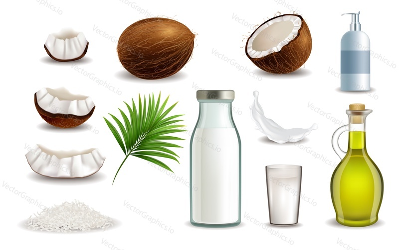 Coconut fruit set, vector illustration isolated on white background. Realistic whole and half coconut, chips, milk, oil, cosmetics, green palm tree leaves. Organic natural product.
