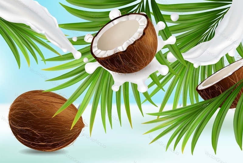 Šablona návrhu plakátu Coconut. Vektorové realistické čerstvé kokosové celé a půl, palmové listy, Coco mléko splash a kopírovat prostor. Tropické jídlo, organická reklama na přírodní kosmetické produkty.