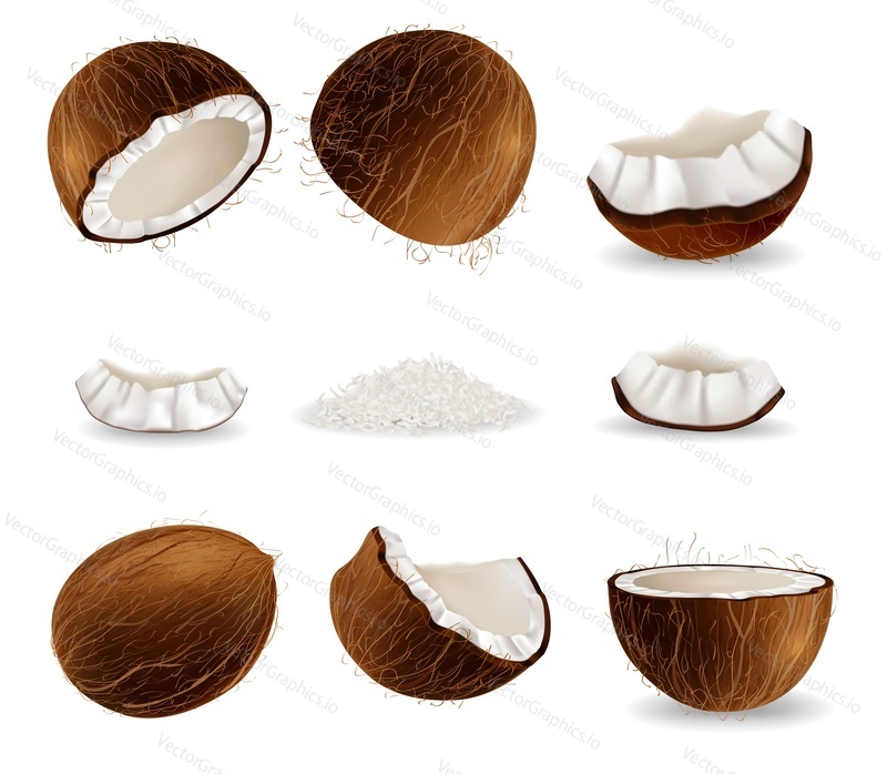 Coconut fruit set, vector illustration isolated on white background. Realistic fresh coconut whole, half, pieces, shredded flakes. Tropical food, organic natural product.