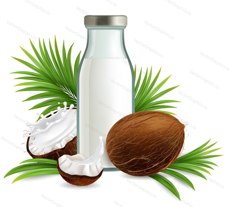 Coconut milk vector illustration. Realistic composition of milk bottle with coconuts and palm leaves for poster, banner, etc. Organic non dairy vegan product.