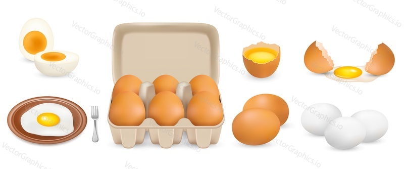 Raw, hard boiled, fried chicken eggs, vector isolated illustration. Whole and broken white and yellow fresh raw eggs. Yolk, albumen, eggshell, open consumer carton pack mockup. Poultry farming.