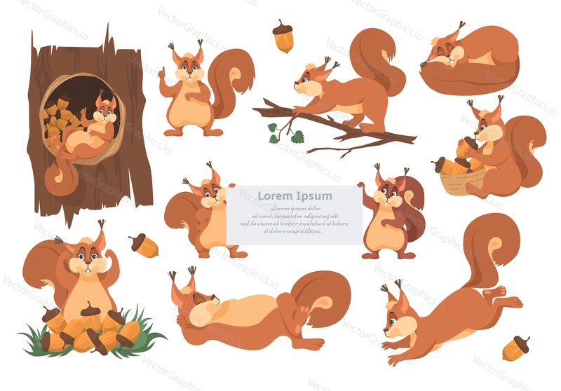Cute squirrel cartoon character set, flat vector isolated illustration. Funny animals sleeping, eating acorns, running, playing. Forest wild animals different activities. Emoji, logo, sticker.