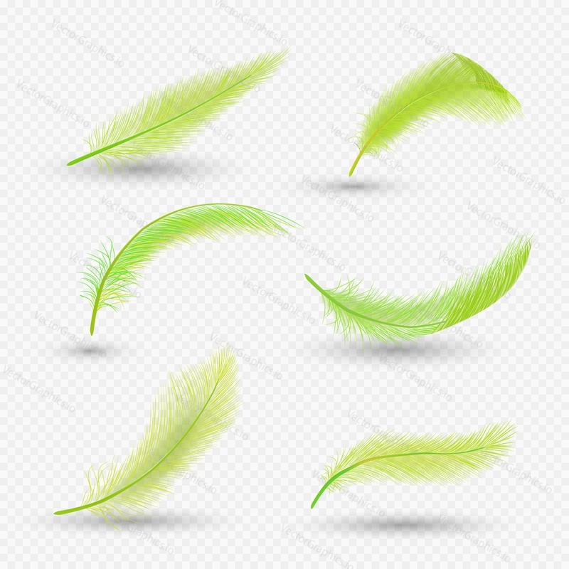 Gold feather set, vector isolated illustration on transparent background. Realistic fluffy feathers of beautiful birds.