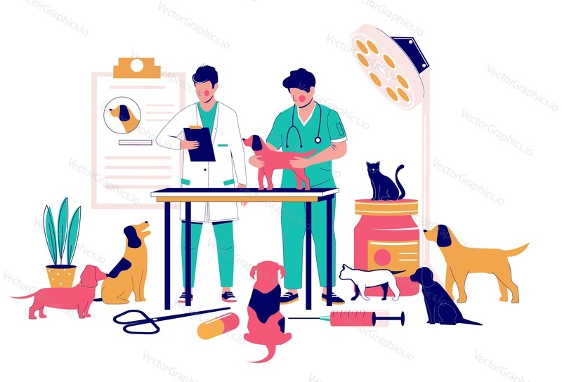 Veterinary clinic medical specialists vets examining pet dog, vector flat illustration. Veterinary office interior with doctors treating cats, dogs diseased or injured animals. Veterinarian services.