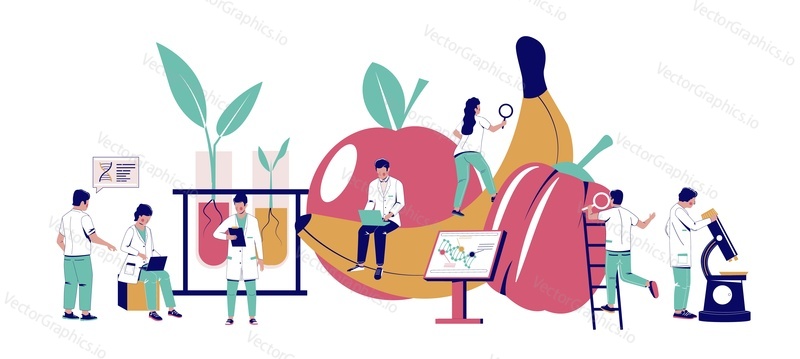 Исследование пищевых добавок, векторная плоская иллюстрация. Ученые, работающие в биотехнологической лаборатории. Исследование пищевых добавок. Генная инженерия. Генетически модифицированные продукты, генная технология.
