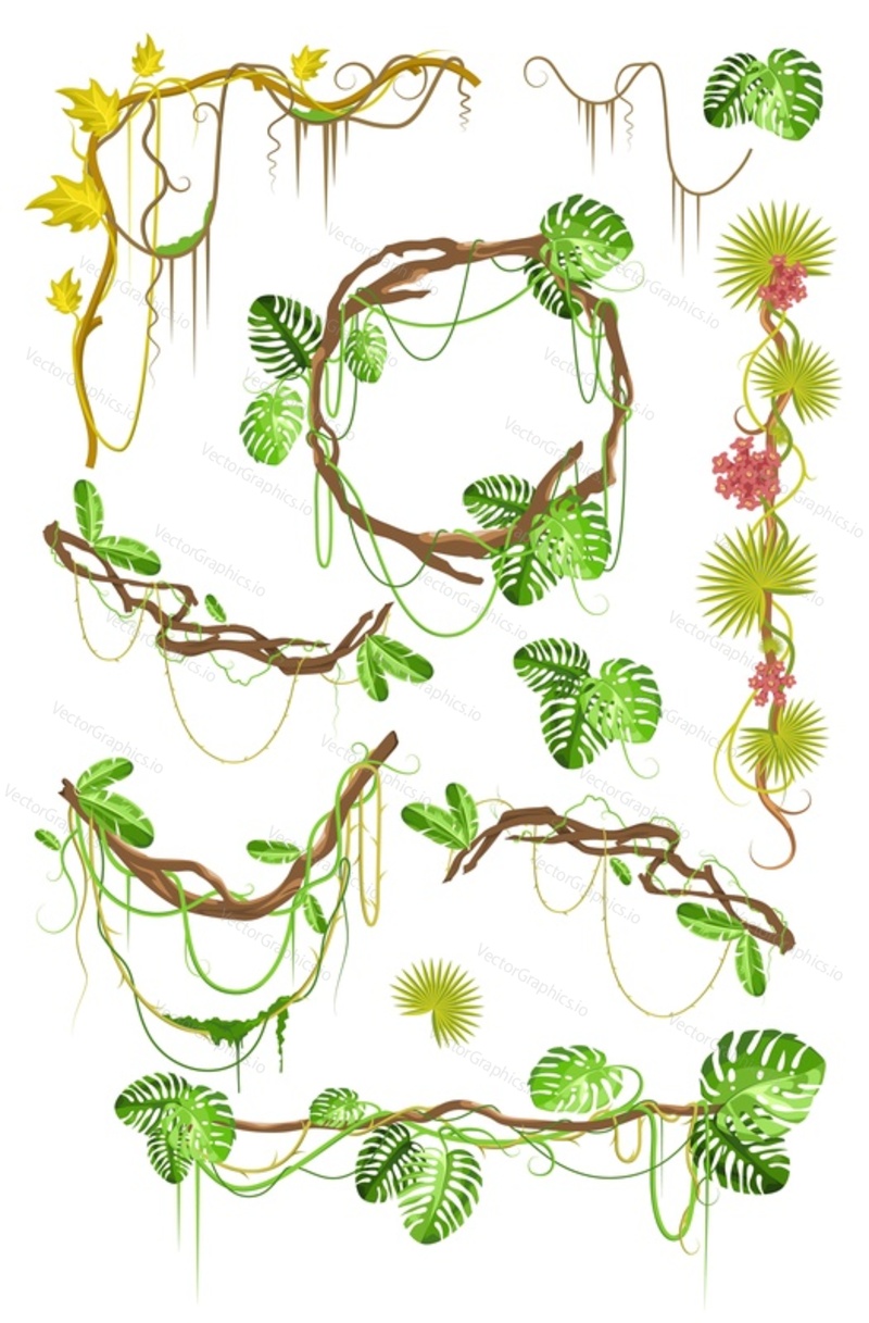 Tropical liana creeper plant decorative elements set, flat vector illustration isolated on white background. Hanging jungle vine brunches, climbing green plants, monstera frame.