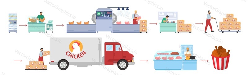 Птицеводство, инфографика по производству куриного мяса, плоская векторная иллюстрация. Технологическая линия птицефабрики. Распределение, продажа, потребление. Пищевая промышленность.
