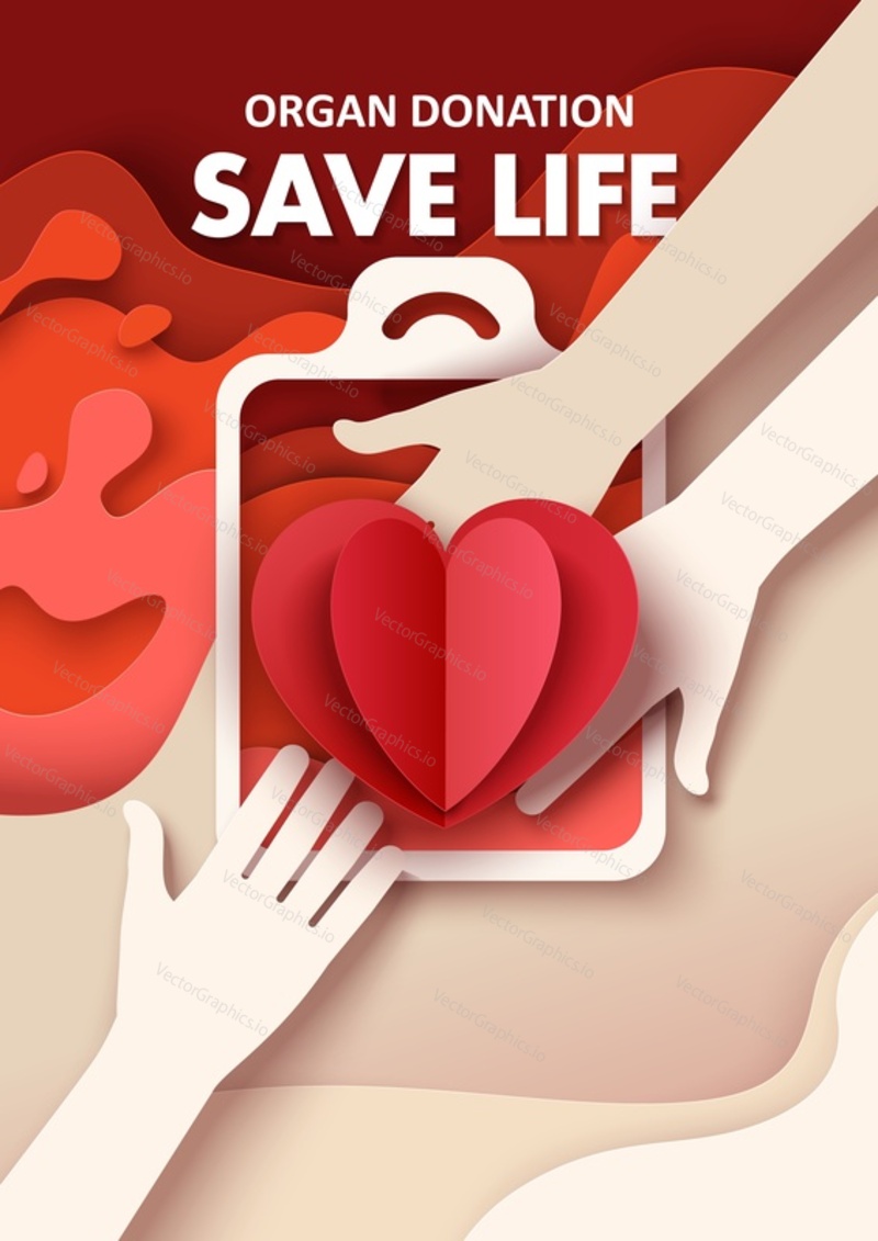 Hands giving heart, vector illustration in paper art style. Human heart transplantation. Organ donation, save life poster template.