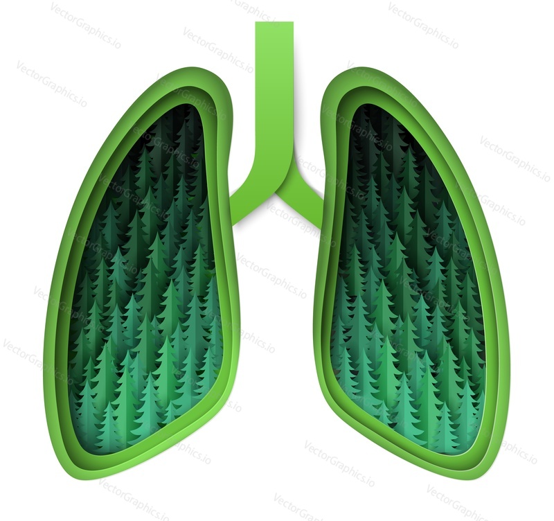 Layered paper cut craft style human lungs with fir trees inside, vector illustration. Forests, green lungs of the Earth. Save nature, ecology.