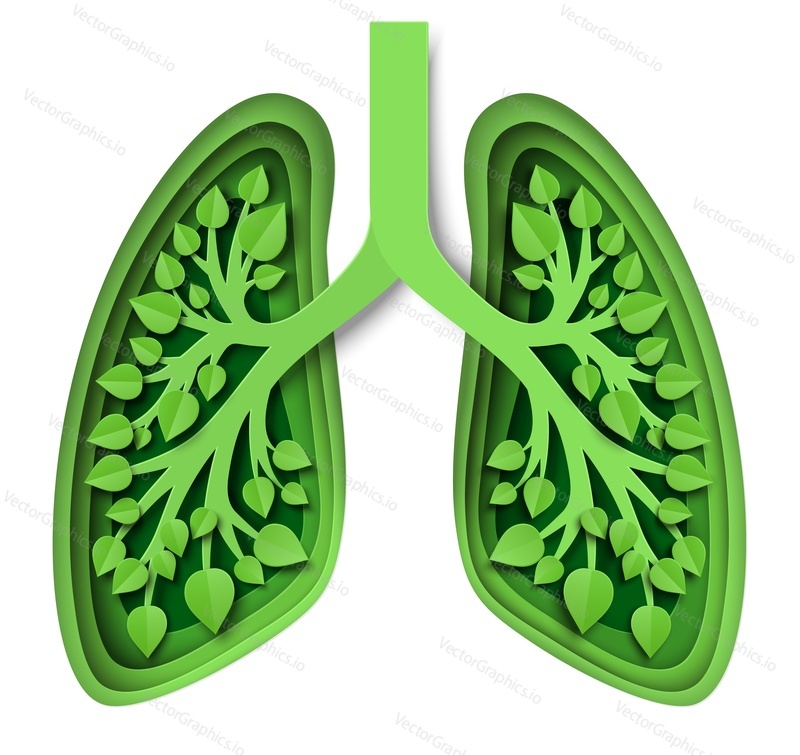 Nature lungs with leaves inside, vector illustration in paper art style. Green lungs of planet Earth. Save nature, environment, ecology.