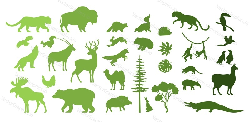 North, South America and Eurasia wild animal silhouettes, vector illustration. Fauna and flora. Forest, tropical exotic birds and animals. Save nature and discover wildlife. Zoo, zoology, geography.
