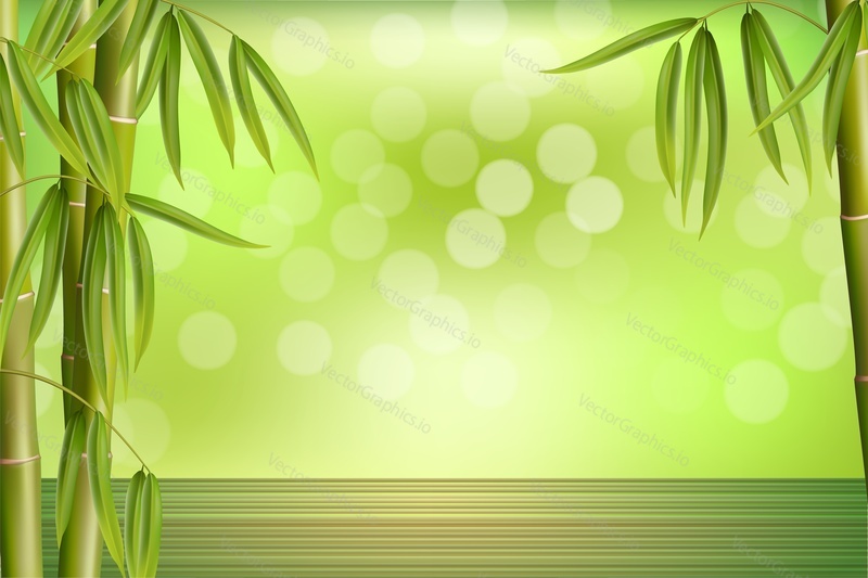 Green bamboo grove, vektorové ilustrace. Bambusové lázně pozadí, tapety. Asijské orientální krásy spa masáže reklamní šablona.